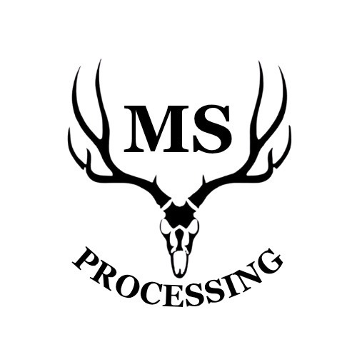 ms_logo